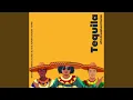 Download Lagu DJ - Tequila X Love Tonight