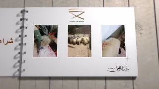 تقرير مشروع الأضاحي عام 1445هـ 