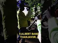 Download Lagu Albert band Thanjavur