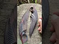 Download Lagu Kuduk Karambit, baja N695.