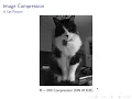 Singular Value Decomposition Part A Cat Picture