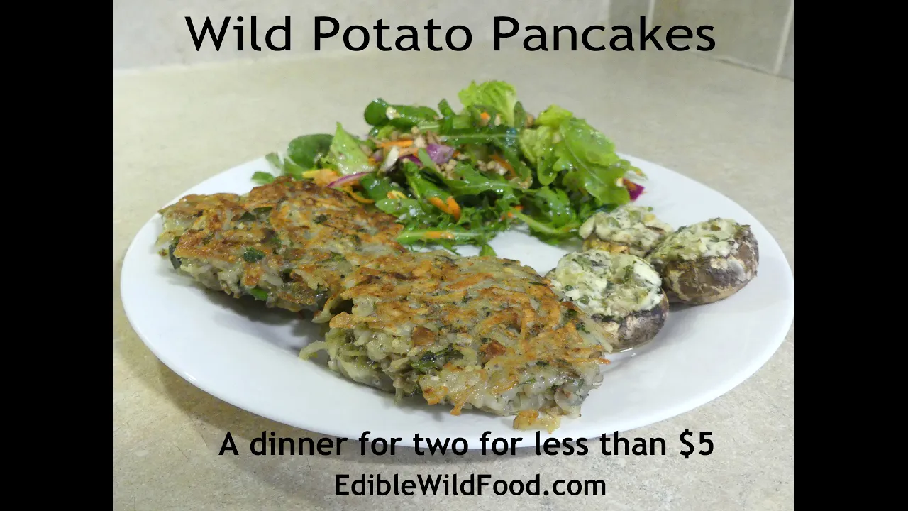 Cheap Meals: Wild Potato Pancakes