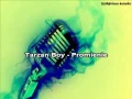 Download Lagu Karaoke Tarzan Boy - Promienie