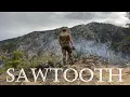 Sawtooth Mountains Spring Bear Hunt