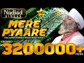 Download Lagu Mere Pyare Satgur Ji  - Bhai Gurpreet Singh (Rinku Veer Ji) - Amritvela Trust