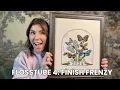 Flosstube - Finish Frenzy