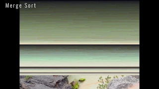 Sorting Algorithms Visualized with Photos Java