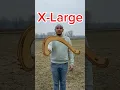 Download Lagu Does boomerang size matter?