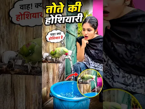 🦜 तोते की होशियारी #parrot #trending #viral #video #dosti #shortvideo #viralvideo ❤️