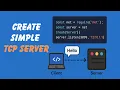 46 Understanding TCP Server and Networking with Node js Wireshark Sockets and More