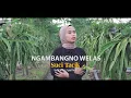 Download Lagu ngambangno welas - SUCI TACIK ft  IYUS VANSKA (OFFICIAL VIDEO MUSIK
