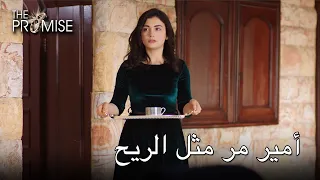 أمير مر مثل الريح اليمين الحلقة 53 