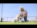 Lubbock s new McAlister Dog Park unleashes the fun
