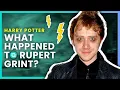Harry Potter What Happened to Rupert Grint OSSA Movies