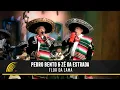 Download Lagu Pedro Bento \u0026 Zé Da Estrada - Flor Da Lama - 55 Anos De Sucesso