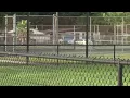 Security Concerns at Clark Park