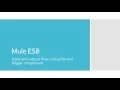 Mule ESB - flow using file and logger component