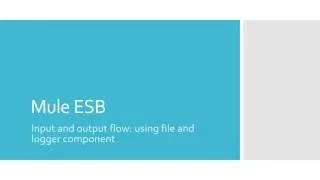 Mule ESB - flow using file and logger component