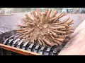 Tree Stump vs Giant Industrial Shredder Extreme Wood Shredding Machine