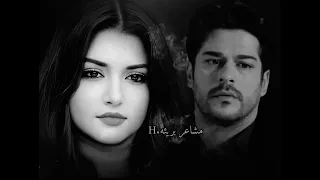 حمادة هلال حبيب قلبي فينك 