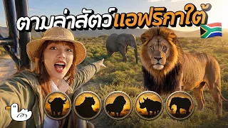 เปิดโลก Safari ครั้งแรก!  ตามหาสัตว์ที่คนทั่วโลกอยากเห็น!