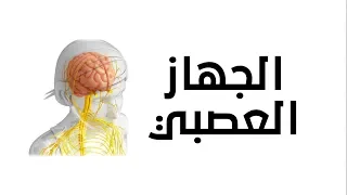 الجهاز العصبي العلوم والحياة الصف السابع الأساسي المنهاج الفلسطيني 