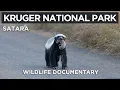 Download Lagu Kruger National Park - SATARA