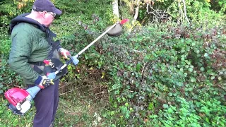 Review - Oregon Universal Mulching Brushcutter Blade
