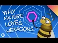 Why Nature Loves Hexagons