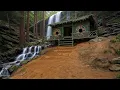 Download Lagu Master Artisan Crafts Stunning Bamboo Retreat in Wild Forest - Epic 2025 Off-Grid Journey