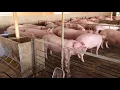 Vivian Howard on Farmers