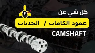                                         دندنها