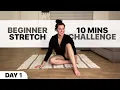 10-Minute Beginner Stretch Challenge for Full Body Flexibility