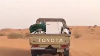 شور اذهب سيداتي ول اب 