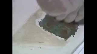 Fiberglass Boat Repairs – TRAILER