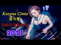 Download Lagu Karena Cinta 因为爱 (Joy Tobing) 2023 Remix By Dj Brian Bie #DJ抖音版2023