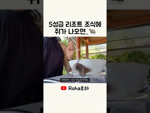 쥐 출몰에도 굳건한 K-식사
