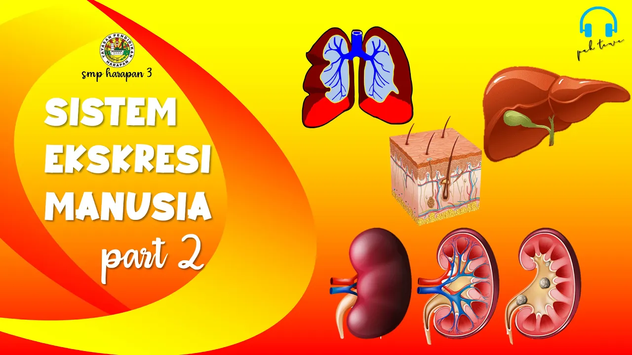 
          
          
          
            
            IPA BIOLOGI KELAS 8 SISTEM EKSKRESI PART 2
          
        . 