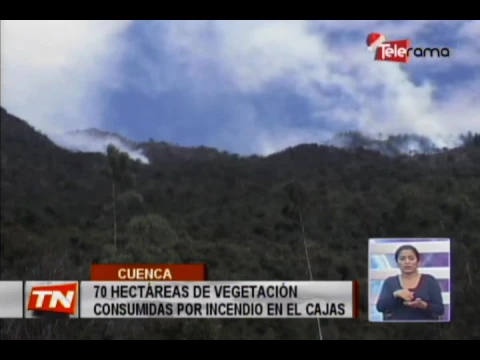 70 hectáreas de vegetación consumidas por incendio en El Cajas