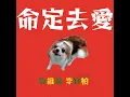 命定去愛 - 高維綸 M.Kao & 李宜柏PAULYBLEE