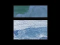 Totally Enormous Extinct Dinosaurs - Forever