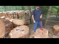 Busting Big Fir Rounds For Firewood With Splitting Wedges Hydraulics
