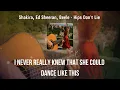 Shakira, Ed Sheeran, Beéle - Hips Don't Lie |slowed reverb & lyric|