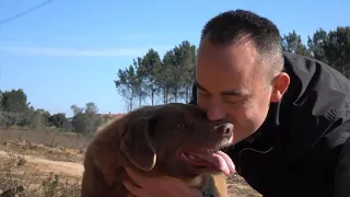 Portugal : Bobi, a 30-year-old hound, celebrates becoming the oldest canine ever