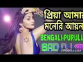 Download Lagu Dj Piya Amar moneri Aina Kono Dino Bhul bujho na