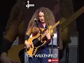 Tal Wilkenfeld Amazing Bass Solo 🎸😍 #talwilkenfeld #chamisbass
