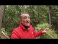 Back to a Tricky Rainforest… Did It Pay Off?