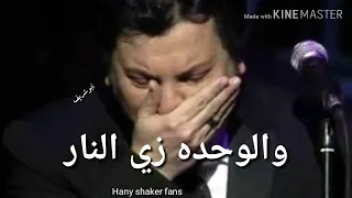 الحلم الجميل هاني شاكر 