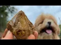 LIVE Crystal Digging in New York Herkimer Diamonds