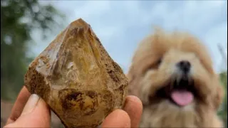 LIVE Crystal Digging in New York! Herkimer Diamonds 💎